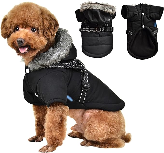 PAERCUTE Winter Dog Hoodie with Harness Warm Dog Clothes for Small Dogs Coat Clothing Puppy Cat Custume Waterproof Warm Dog Jacket