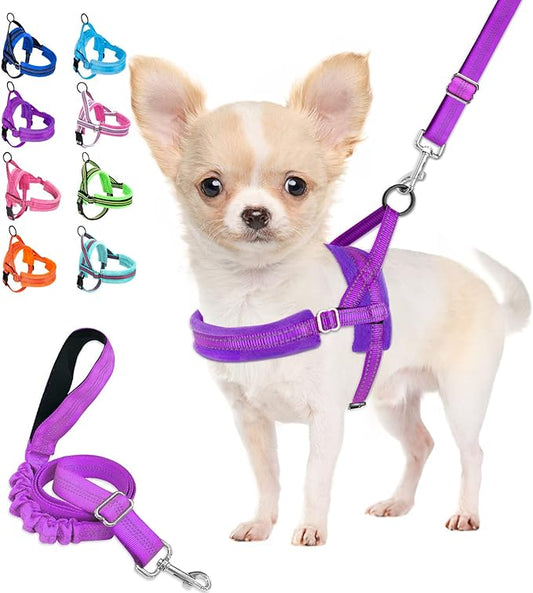 PAERCUTE Dog Harness and Leash Set, Soft Padded Small Dog Harness, Neck & Chest Adjustable Reflective Vest Puppy Harness with 4ft Lightweight Anti-Twist Dog Leash for Small Dogs