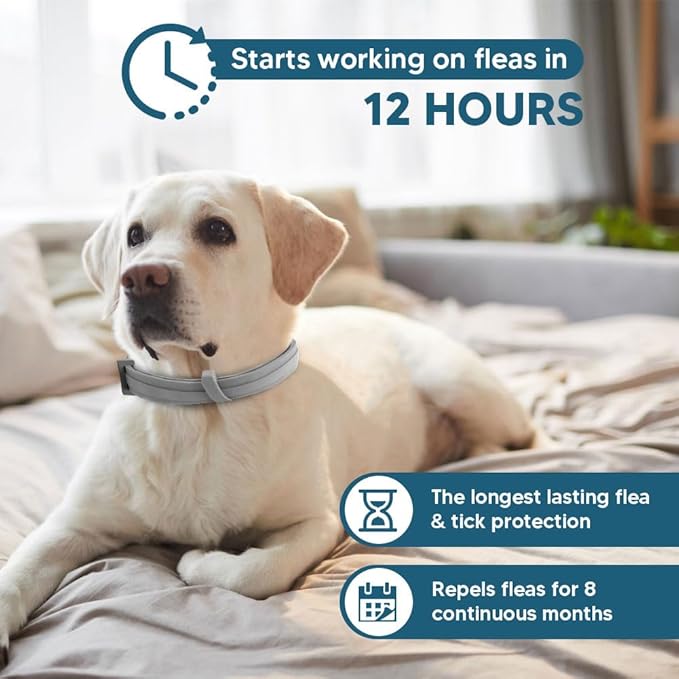 DOYOO  Antiparasitic collars for animals,Flea & Tick Collar for Dogs, Tick Collars for Dogs, Dog Flea and Tick Collar, Waterproof 8 Months Prevention, One Size Fits All 2 Count