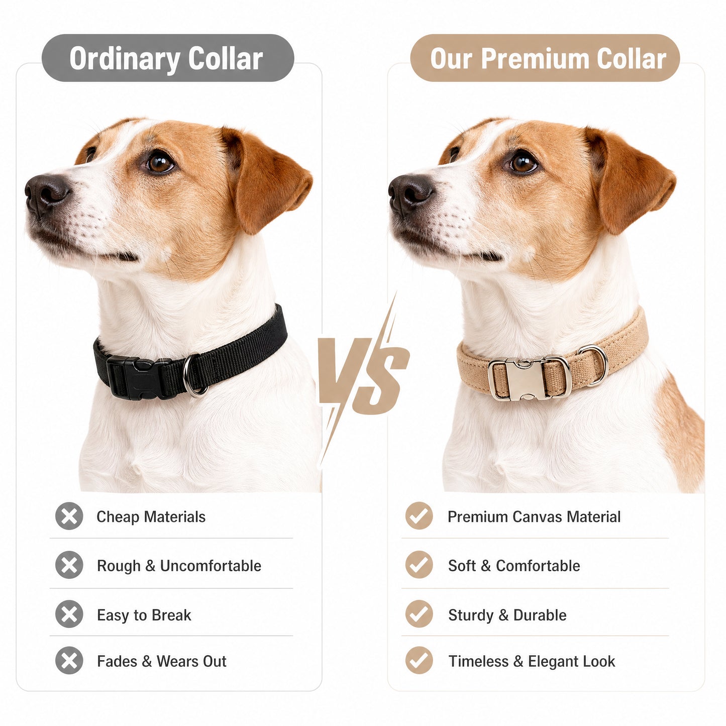 BLUETREE Collars for animals Dog Collar with Buckle Adjustable Safety Nylon Collars for Small Medium Large Dogs