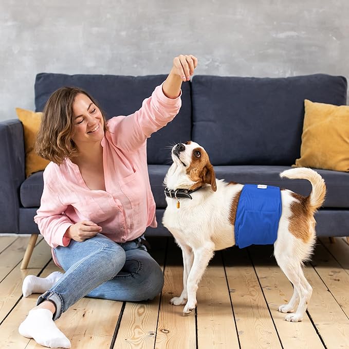 DOYOO Diapers for pets,Washable Dog Diapers Male,Pack of 3 High Absorbing Male Dog Diapers & Adjustable Strap Reusable Male Puppy Wraps for Small Dogs