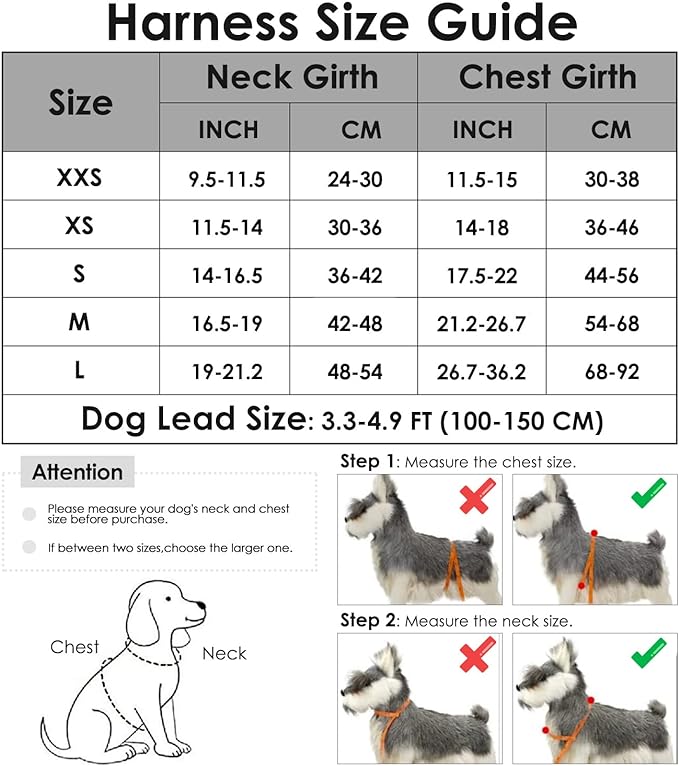 PAERCUTE Dog Harness and Leash Set, Soft Padded Small Dog Harness, Neck & Chest Adjustable Reflective Vest Puppy Harness with 4ft Lightweight Anti-Twist Dog Leash for Small Dogs