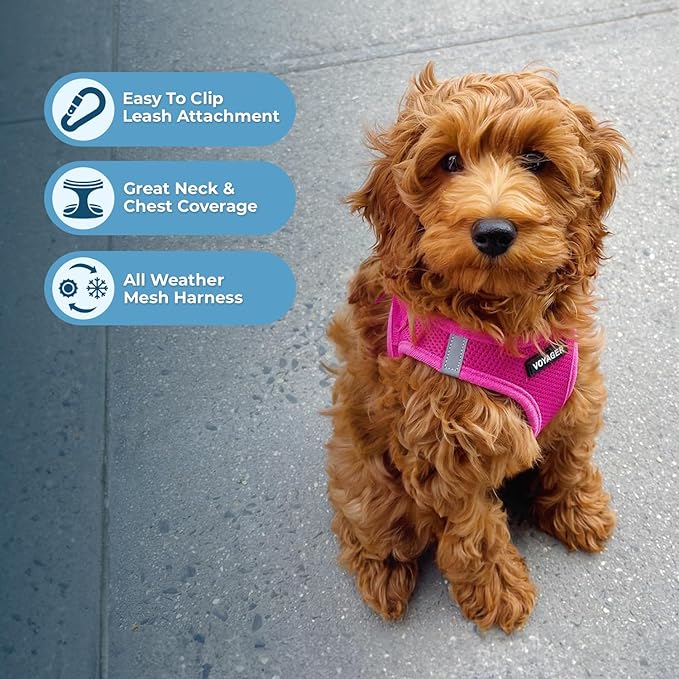 PAERCUTE Step-in Air Dog Harness - All Weather Mesh Step in Vest Harness for Small and Medium Dogs by Best Pet Supplies