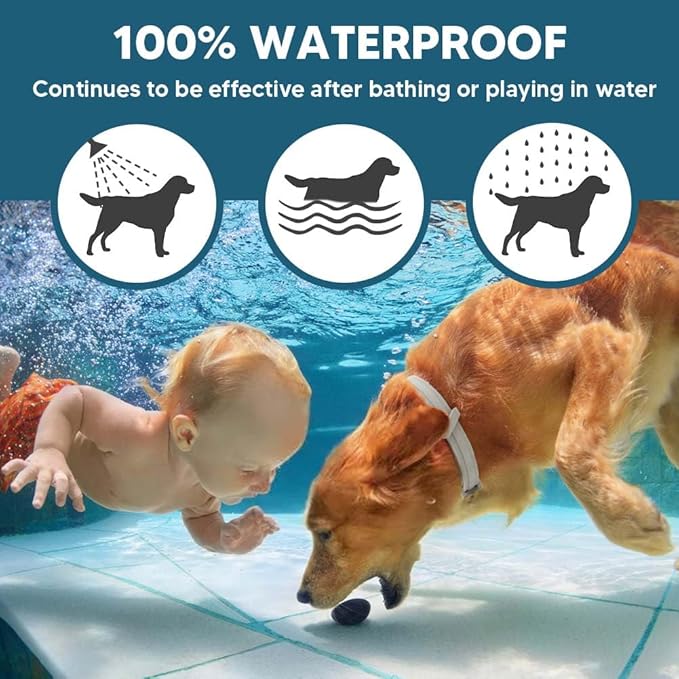 DOYOO  Antiparasitic collars for animals,Flea & Tick Collar for Dogs, Tick Collars for Dogs, Dog Flea and Tick Collar, Waterproof 8 Months Prevention, One Size Fits All 2 Count