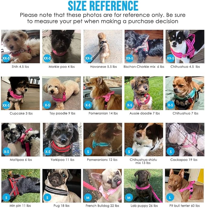 PAERCUTE Dog Harness and Leash Set, Soft Padded Small Dog Harness, Neck & Chest Adjustable Reflective Vest Puppy Harness with 4ft Lightweight Anti-Twist Dog Leash for Small Dogs
