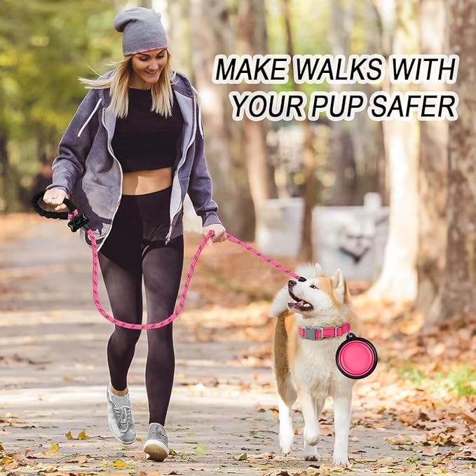 PAERCUTE Dog Leashes for Large Dogs Heavy Duty Dog Leash 4/5/6 FT with Comfortable Padded Handle and Highly Reflective Threads for Medium Large Dogs Walking Training Running