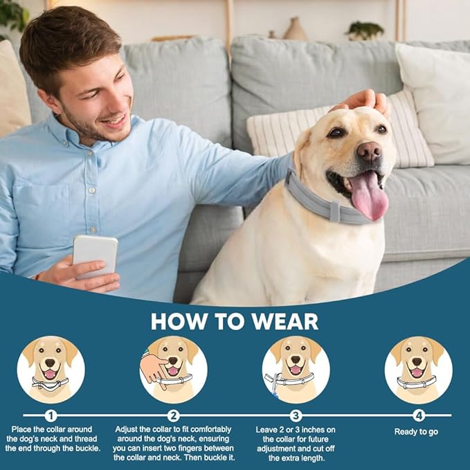 DOYOO  Antiparasitic collars for animals,Flea & Tick Collar for Dogs, Tick Collars for Dogs, Dog Flea and Tick Collar, Waterproof 8 Months Prevention, One Size Fits All 2 Count