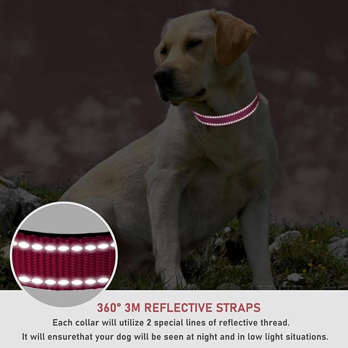 PAERCUTE Reflective Dog Collar with Buckle Adjustable Safety Nylon Collars for Small Medium Large Dogs