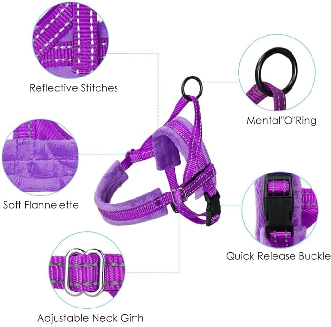 PAERCUTE Dog Harness and Leash Set, Soft Padded Small Dog Harness, Neck & Chest Adjustable Reflective Vest Puppy Harness with 4ft Lightweight Anti-Twist Dog Leash for Small Dogs