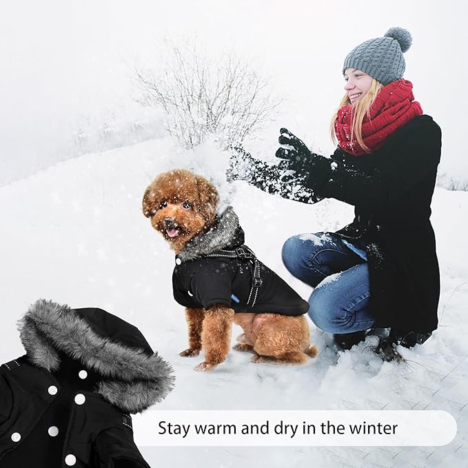 PAERCUTE Winter Dog Hoodie with Harness Warm Dog Clothes for Small Dogs Coat Clothing Puppy Cat Custume Waterproof Warm Dog Jacket