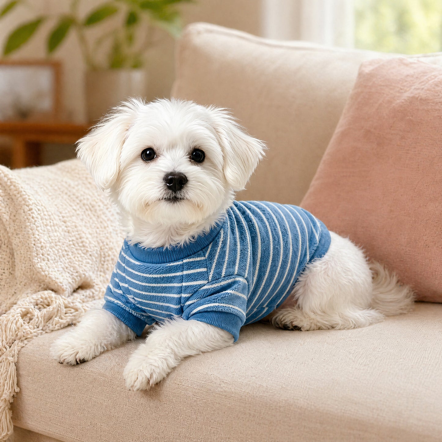 BLUETREE Clothing for pets Soft Fleece Dog Sweater, Blue Striped Pullover, Warm & Cozy Clothes for Small Dogs, Machine Washable