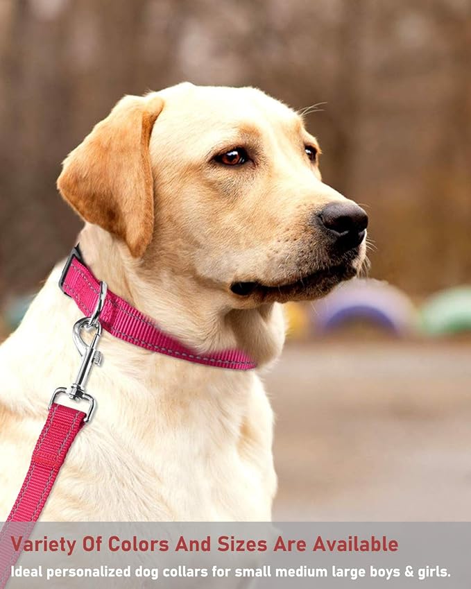 PAERCUTE Reflective Dog Collar with Buckle Adjustable Safety Nylon Collars for Small Medium Large Dogs